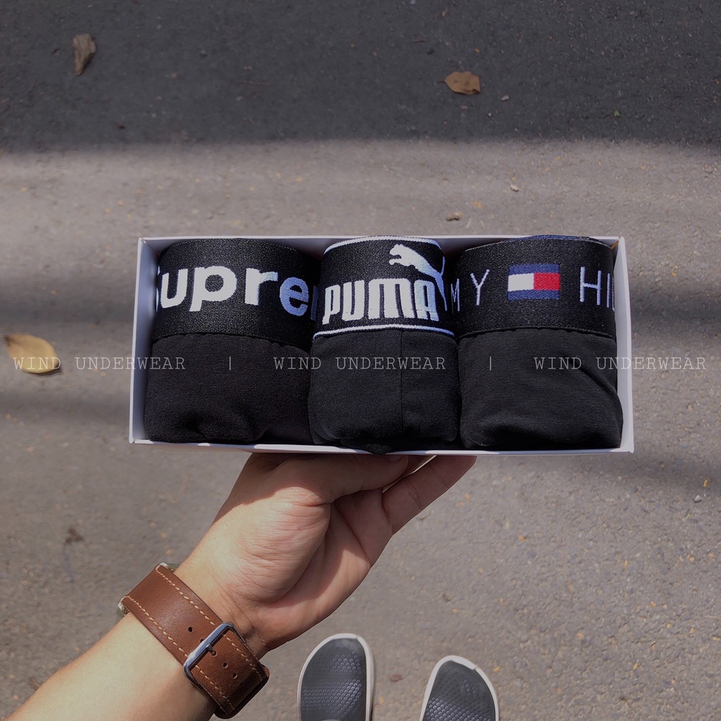 Combo 3 quần sịp nam boxer cao cấp chất cotton siêu thấm hút mồ hôi WIND COMBO PTS