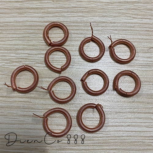 Cặp lò xo stator gắn than - khuyên đồng của động cơ điện - Có cỡ từ lớn đến nhỏ