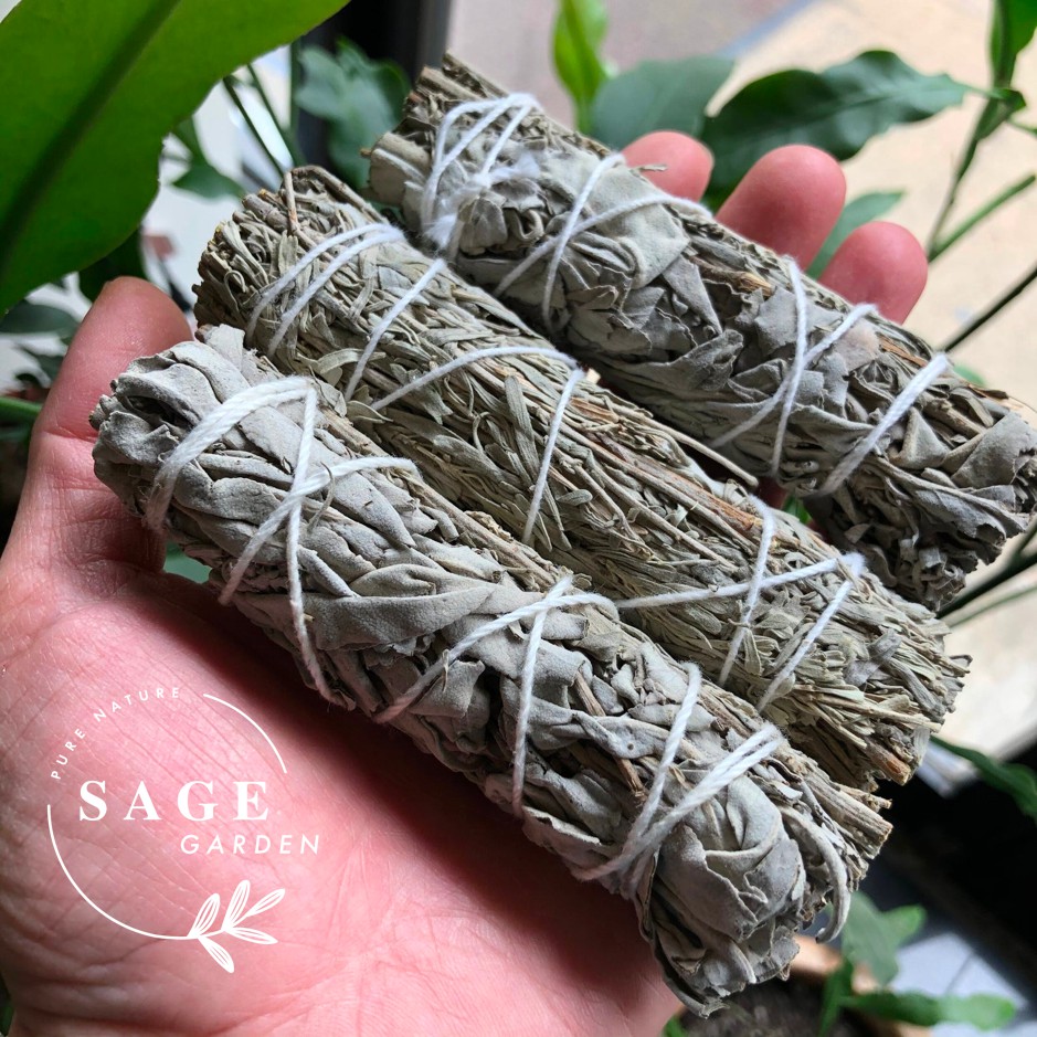 CHỮA LÀNH TÂM HỒN_Xô thơm trắng và Xô thơm xanh_SAGE GARDEN