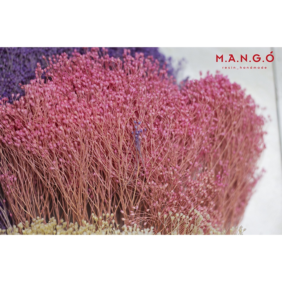 Hoa bloom khô trang trí resin, thiệp, nến thơm, handmade