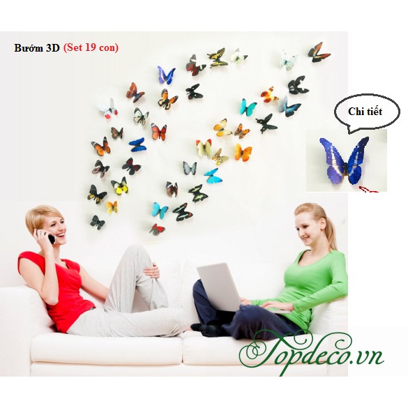 [FREE SHIP] Set bướm 3D 19 con có xốp dán 2 mặt siêu đáng yêu