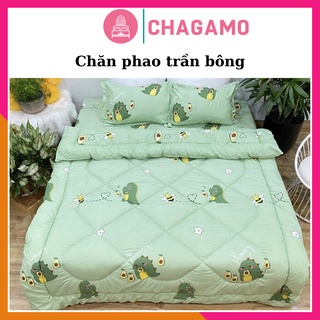 Chăn Phao poly cotton dày dặn ấm mềm mịn