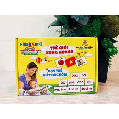 Trọn Bộ 100 Thẻ Học Thông Minh FlashCard Song Ngữ Anh - Việt 14 Chủ Đề Cho Bé Khám Phá Thế Giới Xung Quanh