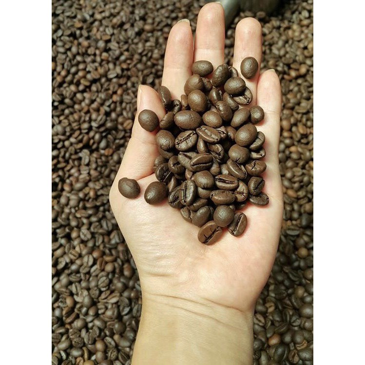 {Mẫu thử 100g} Cà Phê Robusta Natural rang đậm pha phin