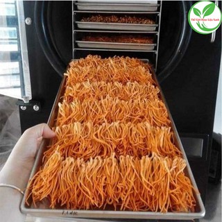 Đông trùng hạ thảo khô _ hàng chuẩn sạch _ 1kg