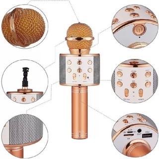 Mic karaoke WS-858