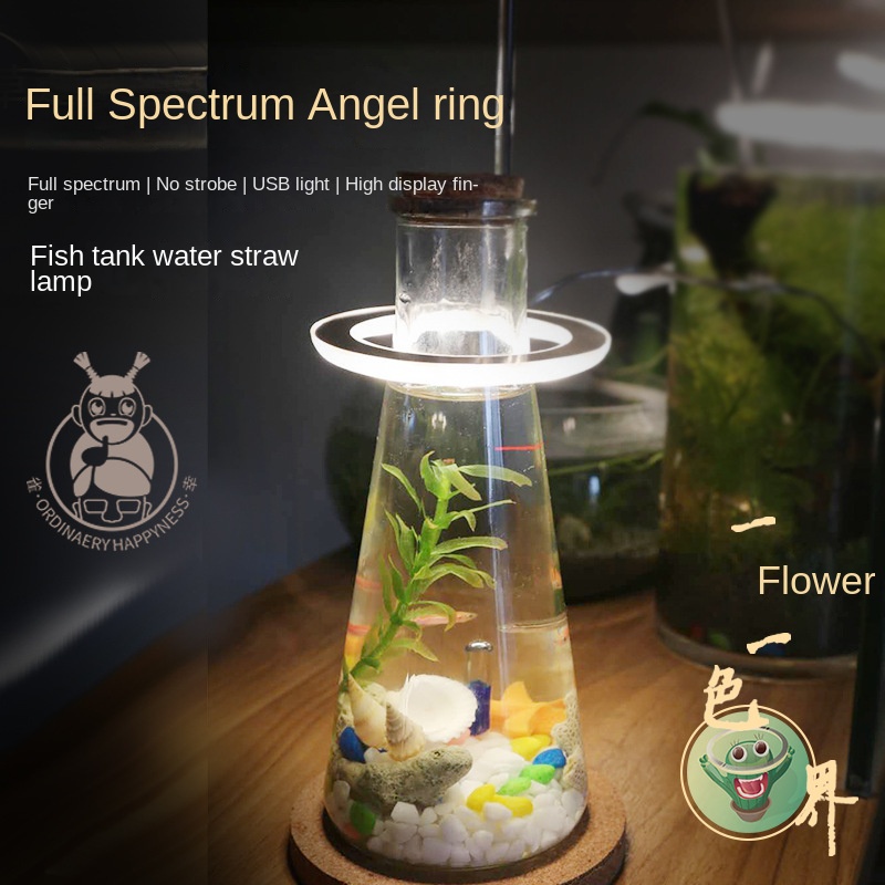 Đèn led Trang Trí Bể Cá Hình Thiên Thần Bắt Mắt Sành Điệu