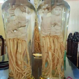 Bình ngâm rượu Thủy 3,4,,7lit( gửi từ 1 đến Bình 2)