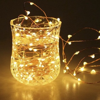 ☀️Trang Trí Tết ☀️ Led Fairy Light - Dây Led Đom Đóm 1 Mét 10 Bóng [TẶNG Kèm PIN]