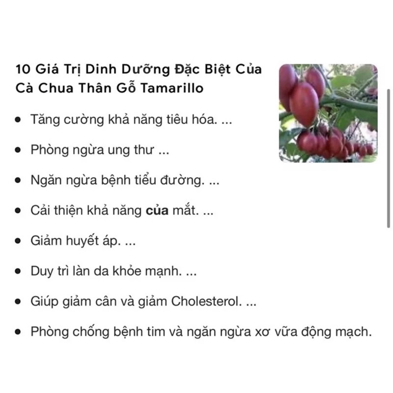 1KG CÀ CHUA THÂN GỖ