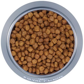 Hạt cho mèo con Royal Canin Kitten 400g