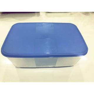 2 Hộp trữ đông dẹt 250ml tupperware