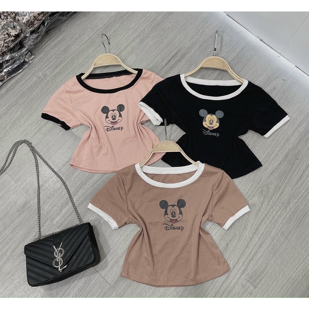 Áo croptop viền màu đen in hình chuột xinh chất bozip đẹp