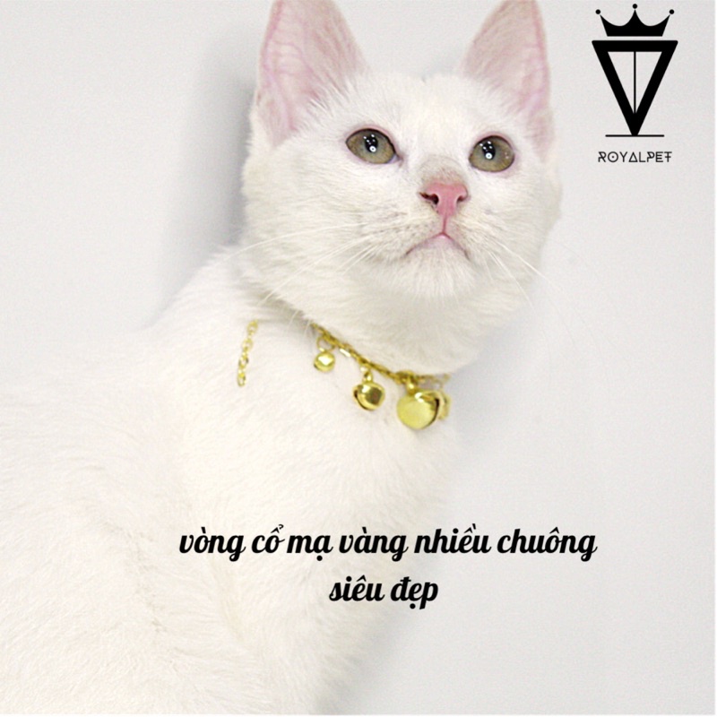 🔴Vòng Cổ Kim Loại Mạ Vàng Siêu Sang Cho Boss