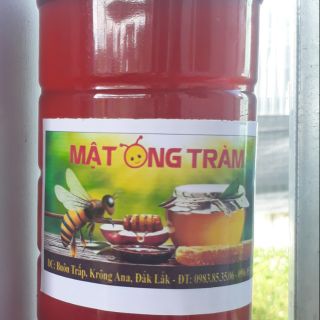 Mật ong tràm