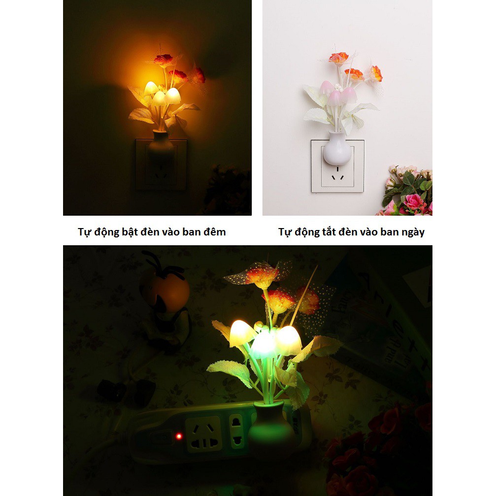 Đèn Ngủ❤️FREESHIP❤️Đèn Ngủ Cảm Ứng Ánh Sáng, Tự Động Bật Vào Buổi Tối Hình Hoa Và Nấm