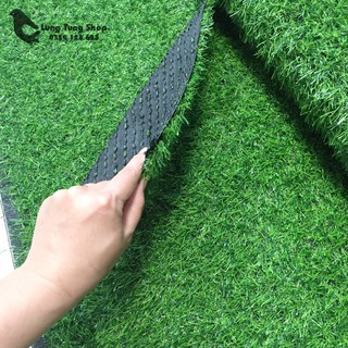 Thảm cỏ nhựa giá rẻ
