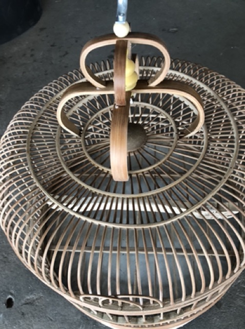 Lồng cu gáy đẹp