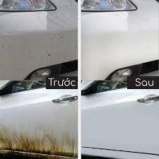 Chai xịt tẩy rửa đa năng Nian run dành cho xe ô tô, xe máy dung tích 450ml