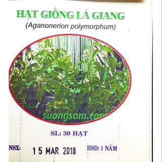 [MUA 2 TẶNG 1]-60 Hạt giống Lá giang