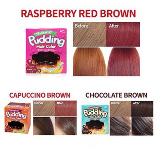 Nhuộm tóc EZN Shaking Pudding Hair Color