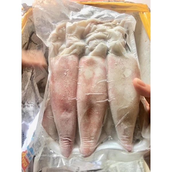 Mực ống  khay 500gr sz 5-6 con