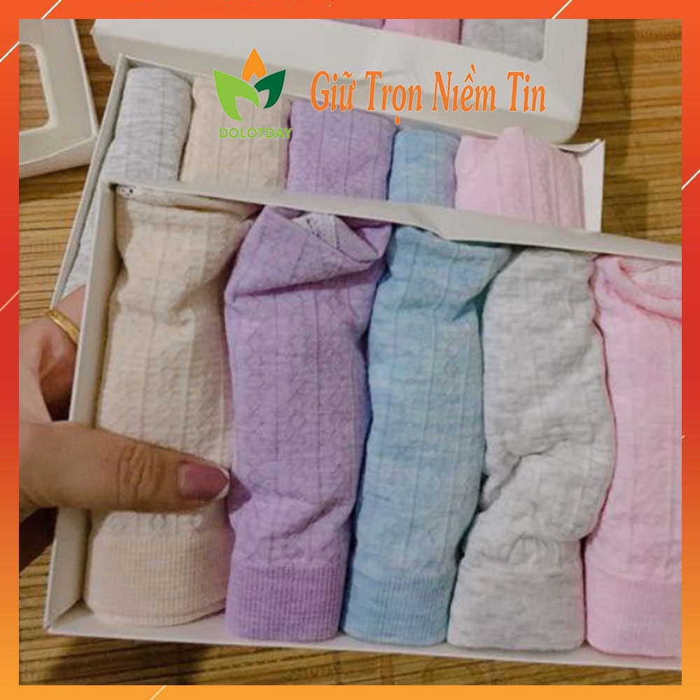 HỘP 5 Quần Lót Nữ. Quần Lót Cotton Trơn đáy kháng khuẩn Mềm Thấm Thoáng hàng việt nam LOTNU05