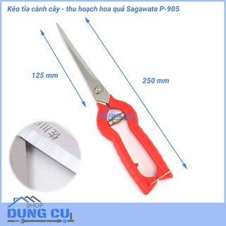 Kéo cắt tỉa cành cây thu hoạch hoa quả Sagawata P-905
