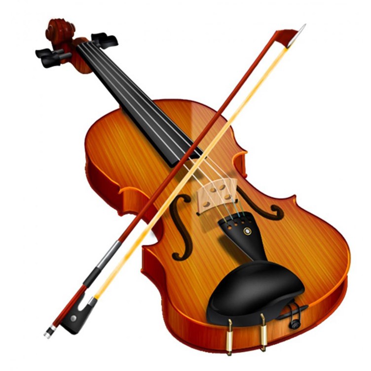 ĐÀN VIOLIN CAO CẤP DEVISER V-30 GỖ NGUYÊN TẤM 4/4