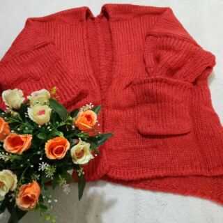 Combo 2 áo khoác len thường 350k