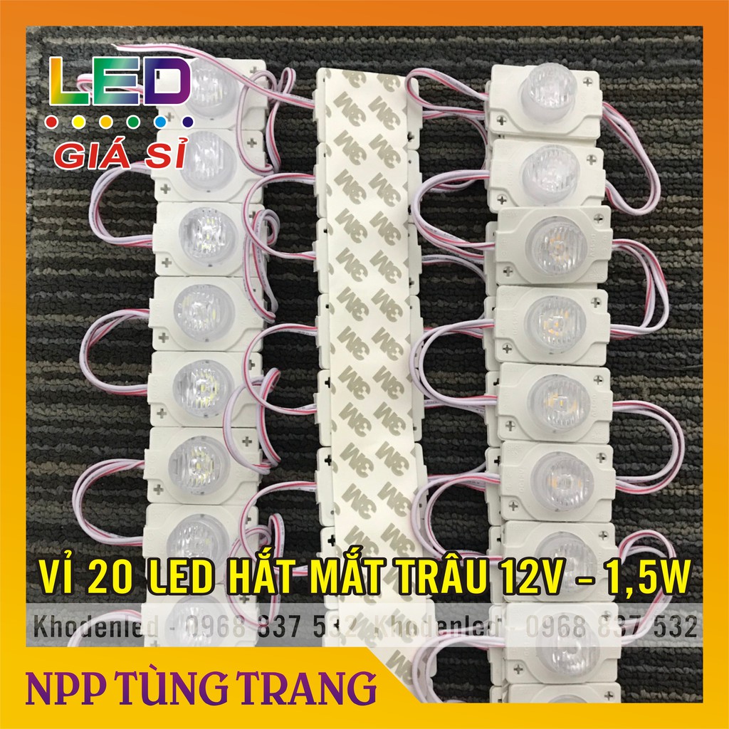 Vỉ 20 bóng led rọi mắt trâu 12V - 1,5W ánh sáng trắng, vàng