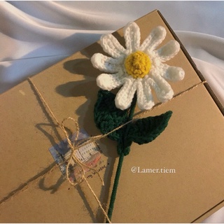 Hoa cúc móc len/ daisy flower/ hoa trang trí