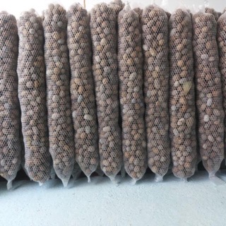 Phân dê khô bón cho lan túi lưới 20cm