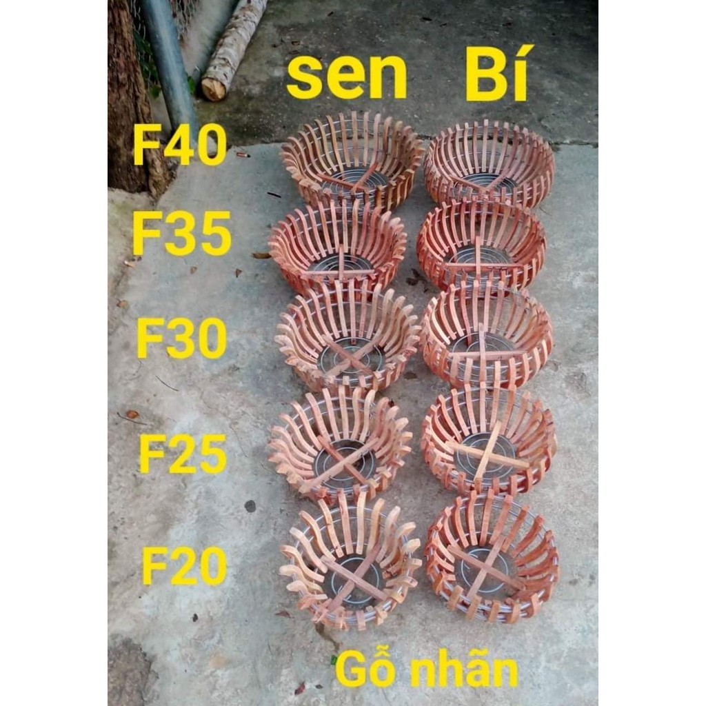 Chậu gỗ  trồng lan - gỗ nhãn -nhiều mẫu - nhiều size lựa chọn