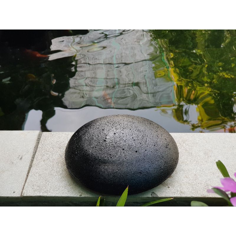 Nấm che hút đáy bể cá