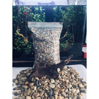 Sỏi suối - sạn suối làm nền cho hồ cá hoặc trải nền hồ thủy sinh - sỏi suối thiên nhiên - sạn suối thiên nhiên