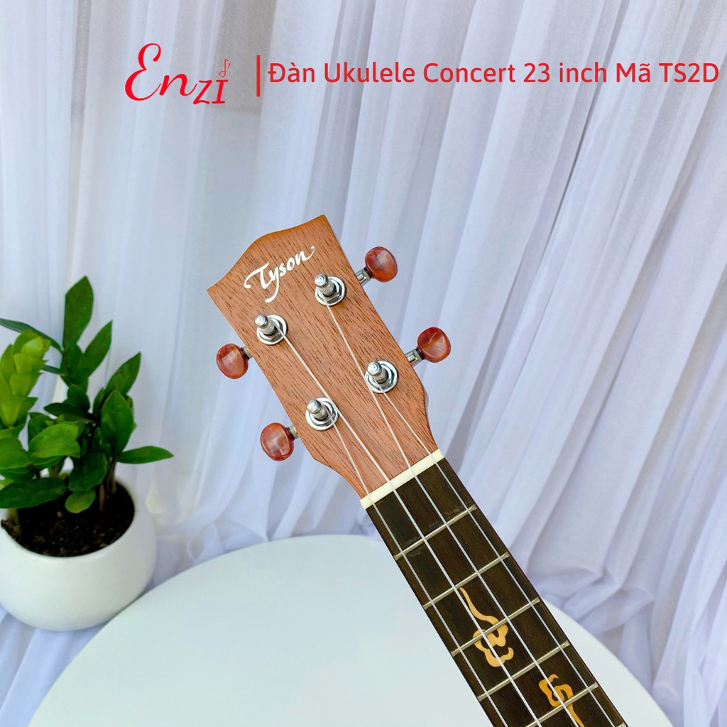 Đàn ukulele concert TS2D Enzi 23 inch gỗ mộc viền mặt trời khóa đúc giá rẻ cho bạn mới bắt đầu tập chơi