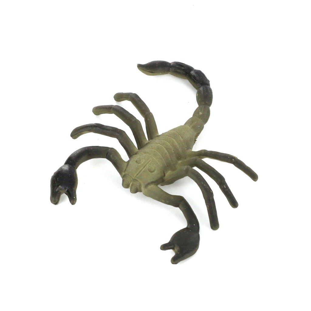 Bộ 25 mô hình côn trùng hỗ trợ việc giảng dạy