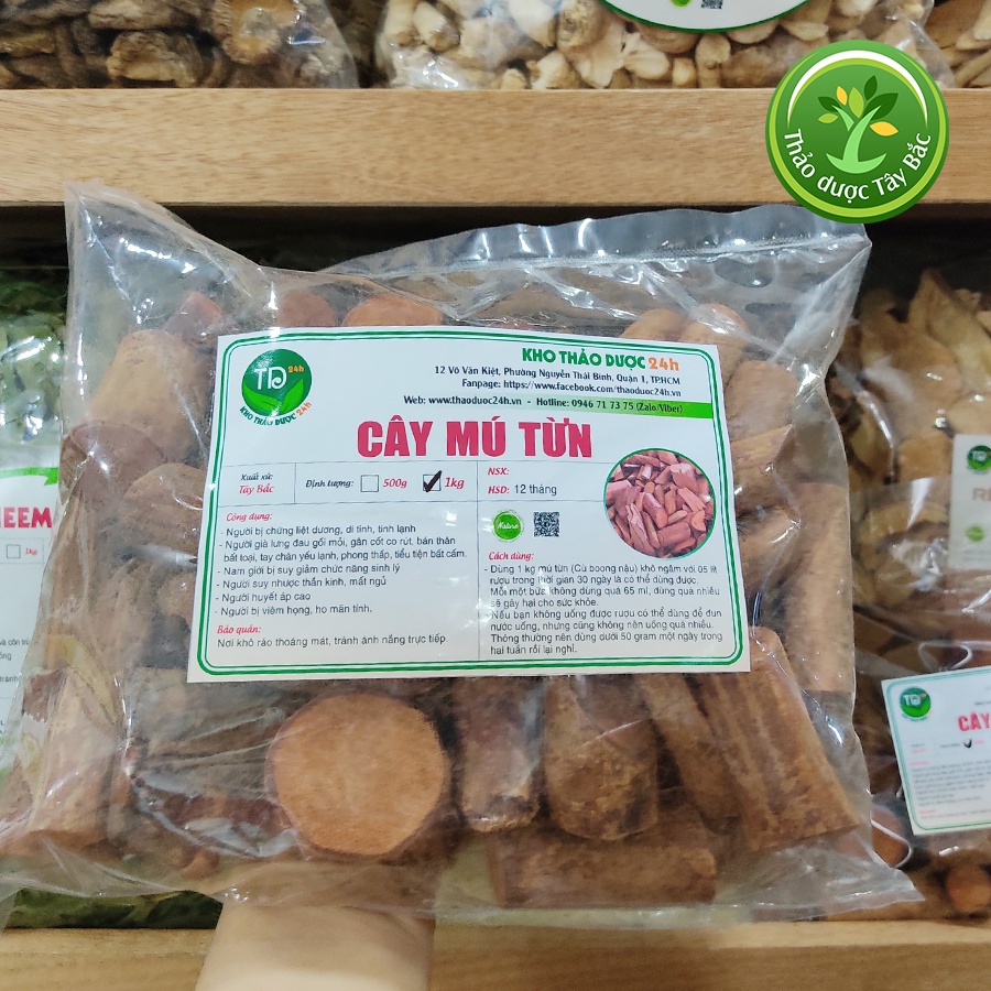 Cây mú từn giúp tăng cường sức khoẻ nam giới, tốt cho người bị đau nhức  | Kho thảo dược Tây Bắc