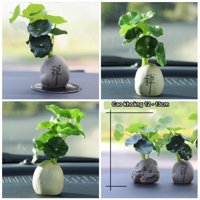 Chậu lá Sen Mini Trang Trí Oto Tiểu Cảnh Siêu Đáng Yêu