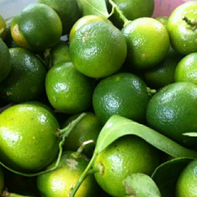 500gr tắc tươi làm siro ho, nấu ăn HCM