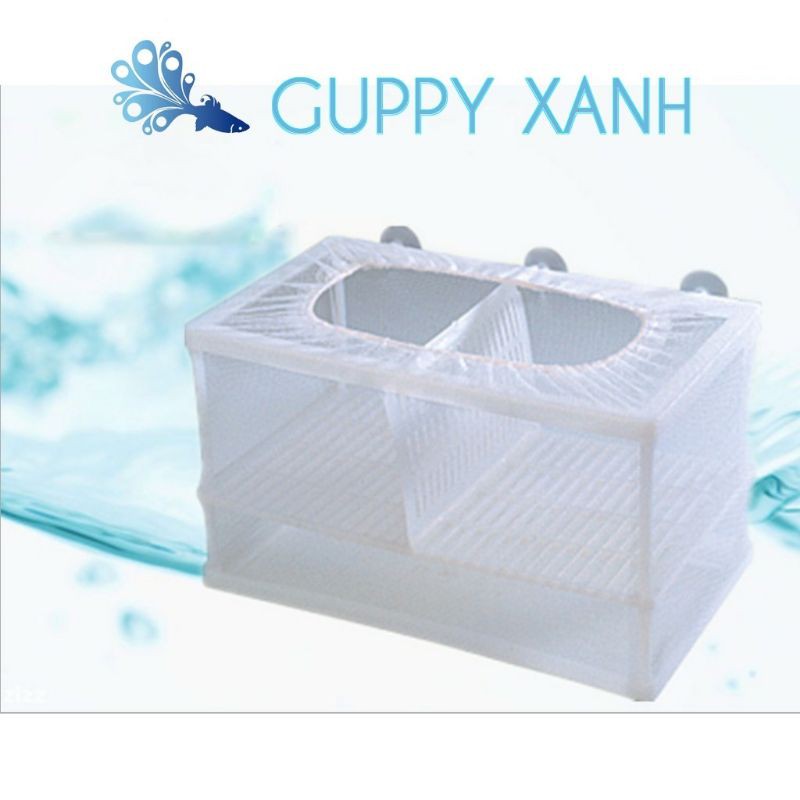 Lồng dưỡng cá và tách cá đẻ , giảm stress cá, và tách cá bố mẹ - Guppy Xanh