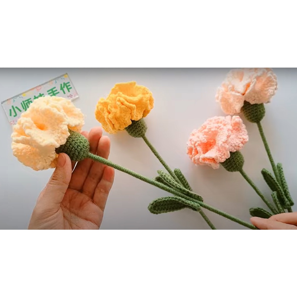 Hoa cẩm chướng handmade len sợi tặng lễ/ sinh nhật