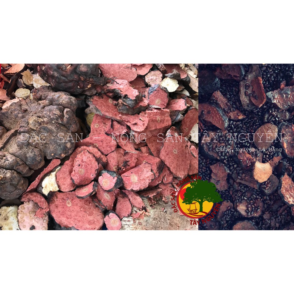 VIÊN HÀ THỦ Ô ĐỎ MẬT RỪNG