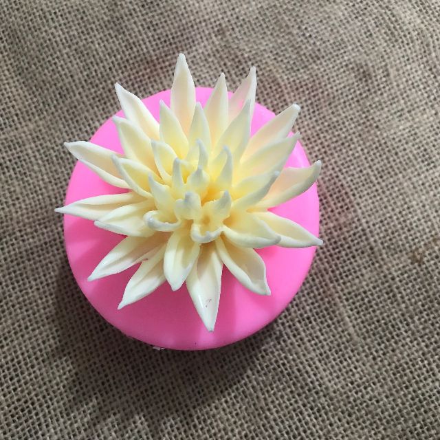 Khuôn silicon 4D Hoa súng 7cm