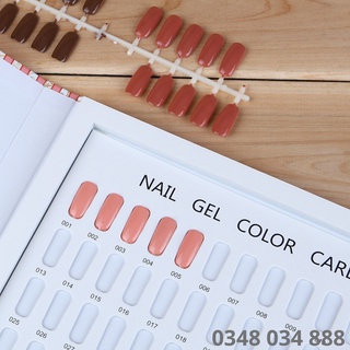 Sổ móng mẫu nail , sổ trưng bày móng ( 120 mấu)
