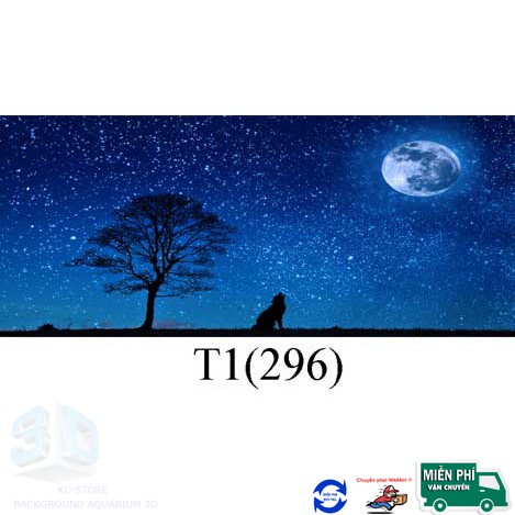 Tranh 3d dán bể cá trang trí bể cá nhiều kích thướt chọn lựa