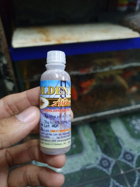 COMBO MÁY OXY BỘ ẤP ARTEMIA ẤP MỸ DÀNH CHO CÁ GUPPY BETTA