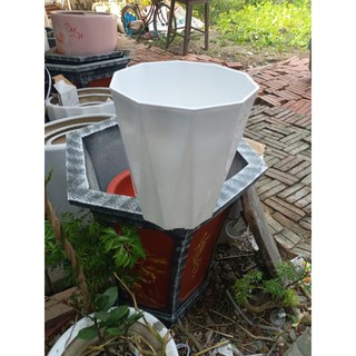 SÉT 20 cái chậu kiểng trồng cây hoa phi 22cm x24cm