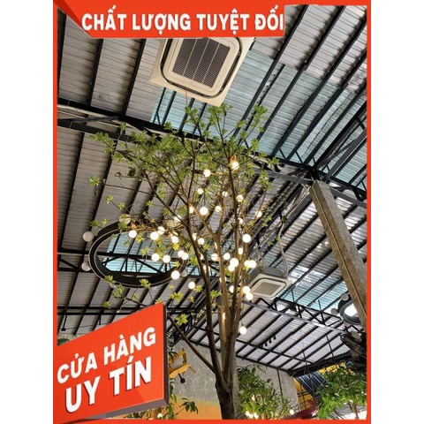 Bộ đuôi đèn 10m 20 đuôi ngoài trời chống nước tuyệt đối